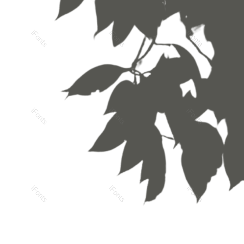 叶子图片,树叶元素,阴影PNG,灰色免抠素材
